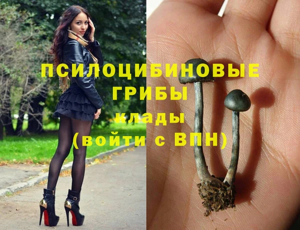 мдпв Алексин