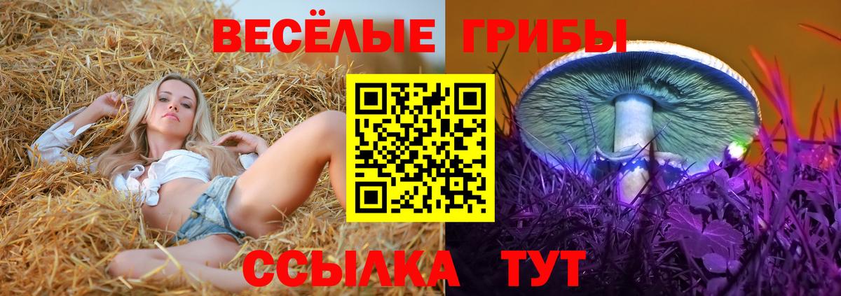 Алексеевка  сколько стоит  Вход с VPN  Псилоцибиновые грибы мицелий 