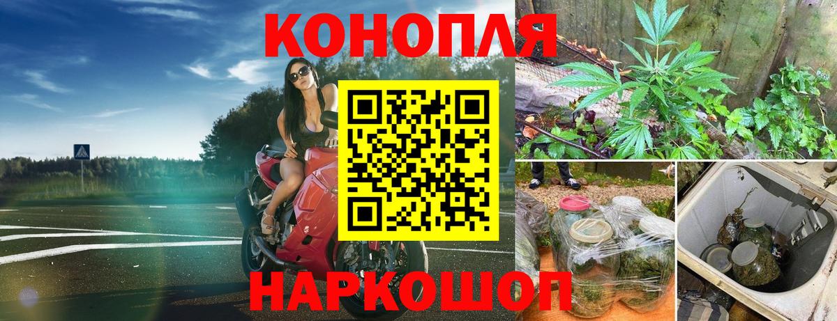 Конопля Amnesia  Канабис марихуана  Алексеевка  Конопля конопля  Вход с VPN  Шишки марихуана MAZAR 